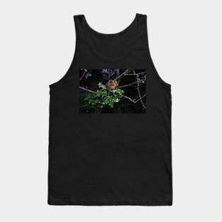 Holly Robin Tank Top